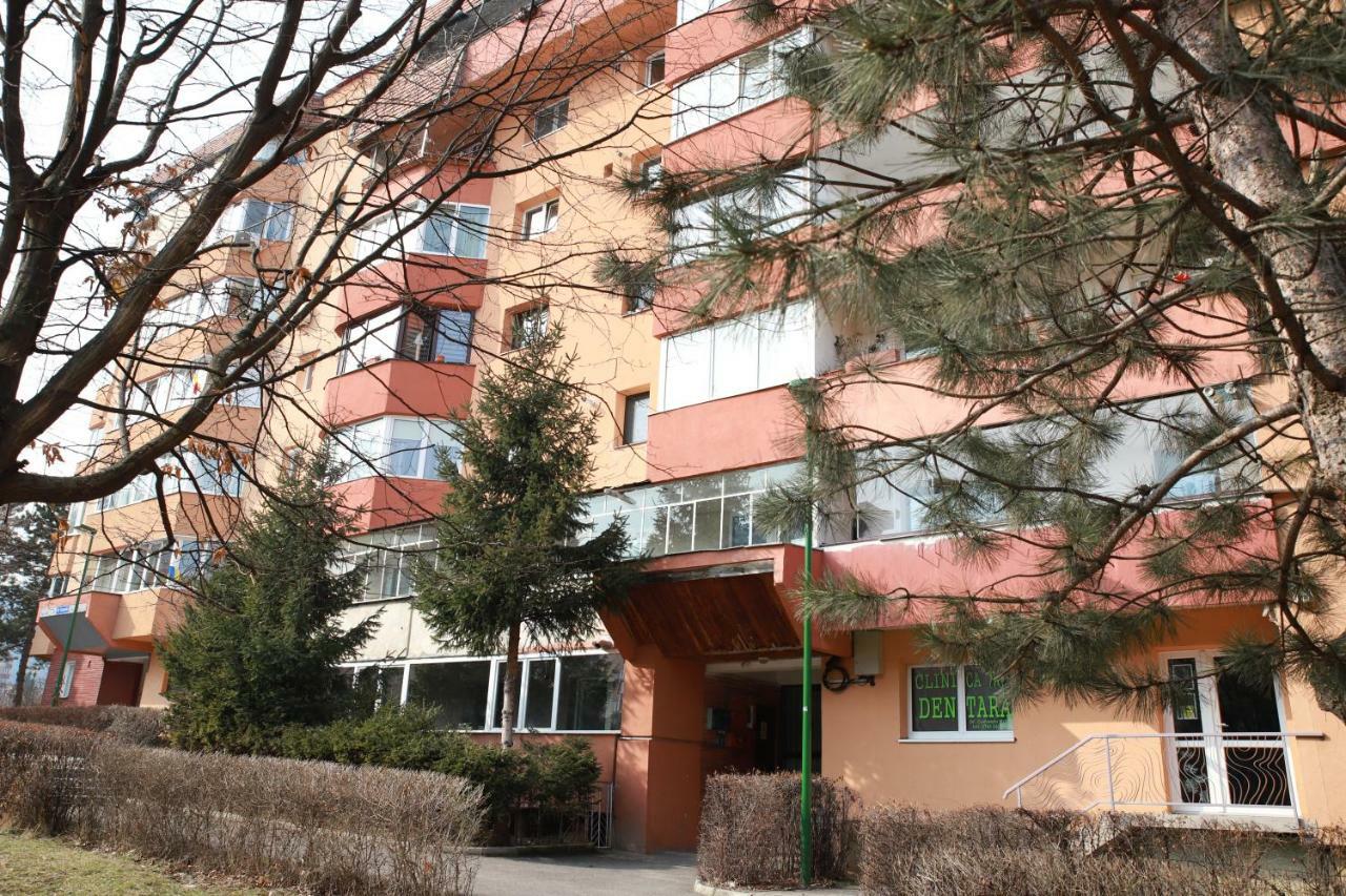 Cozy Apartment In Brasov Bagian luar foto