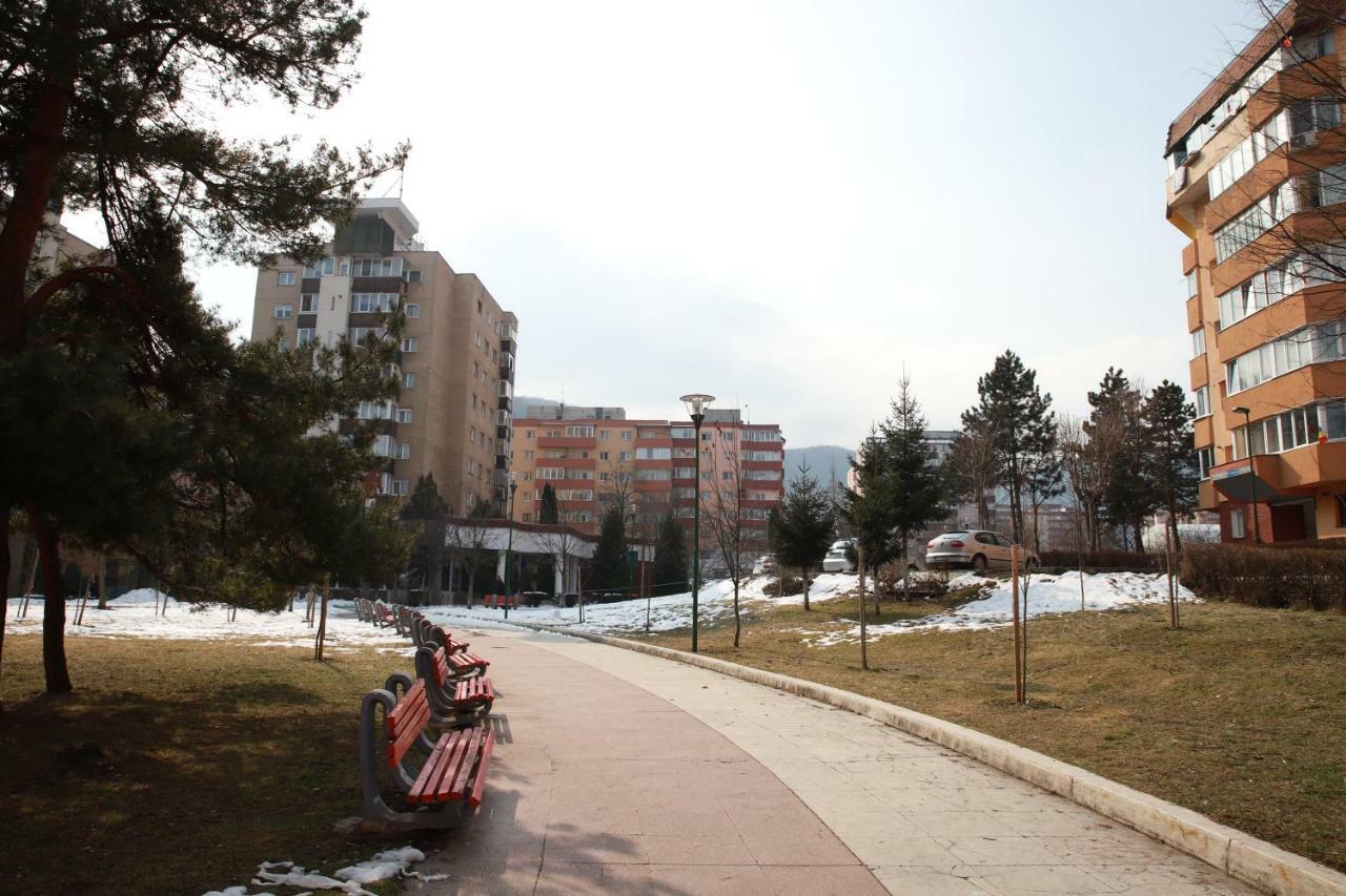 Cozy Apartment In Brasov Bagian luar foto